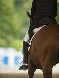 Dressage Apparrel and Turn Out Dressage Apparel