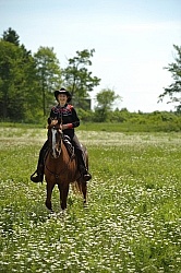 Western Trail Riding Spring Summer