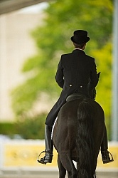 Dressage Apparel