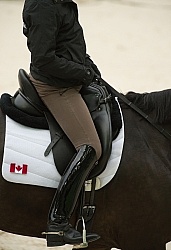 Dressage Apparel