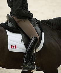Dressage Apparel