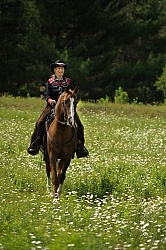 Western Trail Riding Spring Summer