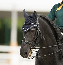 Braids Braided  Mane