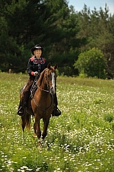 Western Trail Riding Spring Summer