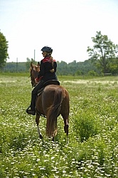 Western Trail Riding Spring Summer