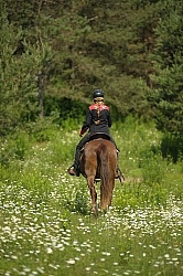 Western Trail Riding Spring Summer