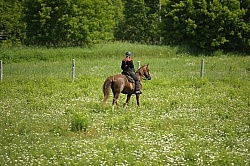 Western Trail Riding Spring Summer