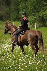 Western Trail Riding Spring Summer