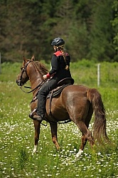 Western Trail Riding Spring Summer