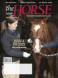 The Horse Cover April 2022
