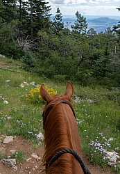 Sandia Wilderness with Enchantment Equitreks