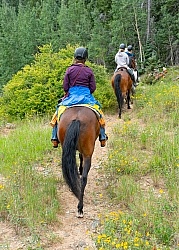 Sandia Wilderness with Enchantment Equitreks