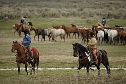 Cowgirls at Sombrero Ranch