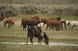 Cowgirls at Sombrero Ranch