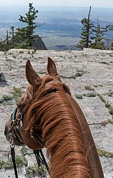 Sandia Wilderness with Enchantment Equitreks