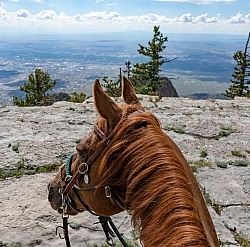 Sandia Wilderness with Enchantment Equitreks