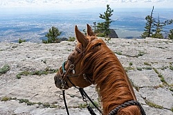 Sandia Wilderness with Enchantment Equitreks