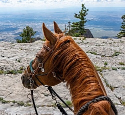 Sandia Wilderness with Enchantment Equitreks