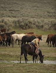 Cowgirls at Sombrero Ranch