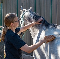 At the Ranch Enchantment Equitreks