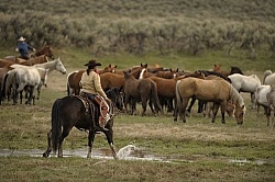Cowgirls at Sombrero Ranch