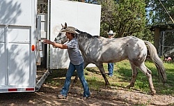 Trailering Enchantment Equitreks