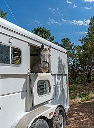 Trailering Enchantment Equitreks