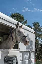 Trailering Enchantment Equitreks