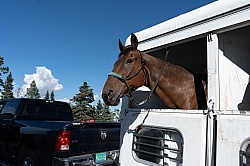 Trailering Enchantment Equitreks