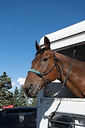 Trailering Enchantment Equitreks