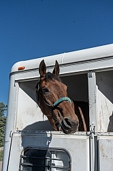 Trailering Enchantment Equitreks