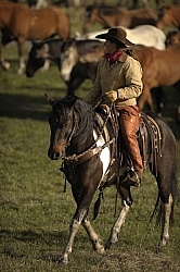Cowgirls at Sombrero Ranch