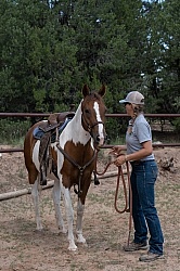 Working with Rescue Horse Enchantment Equitreks