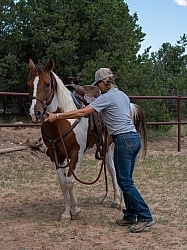 Working with Rescue Horse Enchantment Equitreks