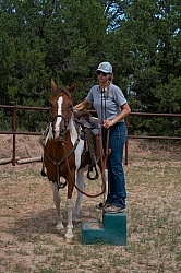 Working with Rescue Horse Enchantment Equitreks