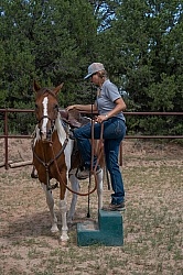 Working with Rescue Horse Enchantment Equitreks