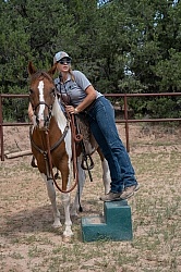 Working with Rescue Horse Enchantment Equitreks