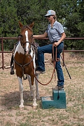 Working with Rescue Horse Enchantment Equitreks