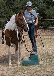 Working with Rescue Horse Enchantment Equitreks