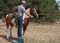 Working with Rescue Horse Enchantment Equitreks