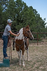 Working with Rescue Horse Enchantment Equitreks
