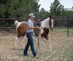 Working with Rescue Horse Enchantment Equitreks