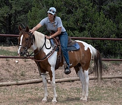 Working with Rescue Horse Enchantment Equitreks
