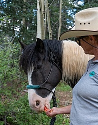 Watermelon Snack at Lunch on the Trail