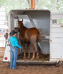 Walkin N Circles Adoptathon