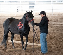 Walkin N Circles Adoptathon