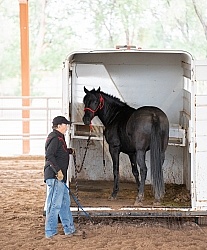 Walkin N Circles Adoptathon