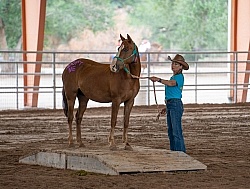 Walkin N Circles Adoptathon