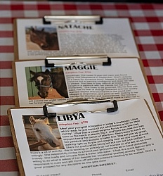 Walkin N Circles Adoptathon