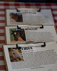 Walkin N Circles Adoptathon